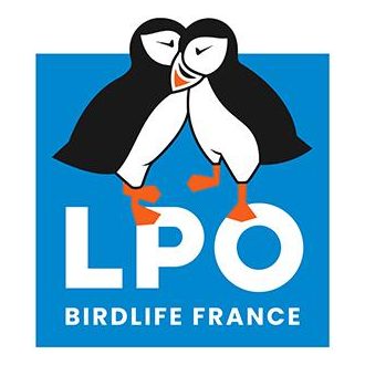 Lien vers APF France handicap APF France handicap 90 ans