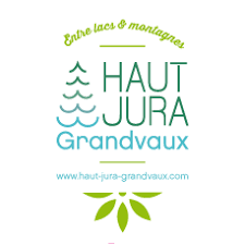 Lien vers APF France handicap APF France handicap 90 ans